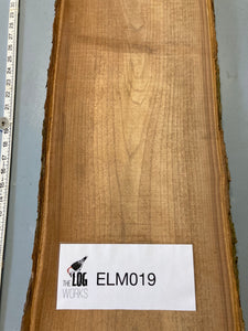 Elm board - ELM019