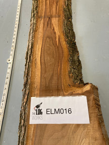 Elm board - ELM016
