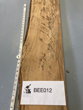 Load image into Gallery viewer, Beech timber (Spalted)- BEE012