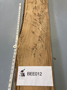 Beech timber (Spalted)- BEE012