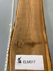 Elm board - ELM017