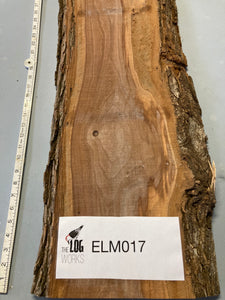 Elm board - ELM017