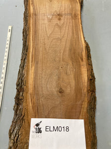 Elm board - ELM018