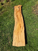 Load image into Gallery viewer, Beech Live edge board - 350mm x 1610mm (ID: BEE016)
