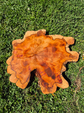 Load image into Gallery viewer, Yew Cookie/Log slice - 430mm x 430mm (ID: YEW045)