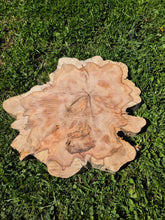 Load image into Gallery viewer, Yew Cookie/Log slice - 430mm x 430mm (ID: YEW043)