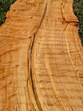 Load image into Gallery viewer, Maple Live edge board - 1500mm x 540mm (ID: MAP011)