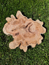 Load image into Gallery viewer, Yew Cookie/Log slice - 490mm x 490mm (ID: YEW044)