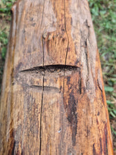Load image into Gallery viewer, Yew Log - 310mm x 140mm (ID: YEW051)