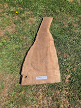 Load image into Gallery viewer, Walnut Live edge board - 1170mm x 440mm (ID: WAL012)