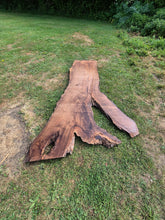 Load image into Gallery viewer, Walnut Live edge board - 2470mm x 1560mm (ID: WAL011)