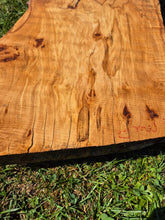 Load image into Gallery viewer, Maple Live edge board - 1500mm x 540mm (ID: MAP011)