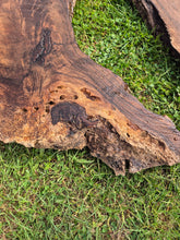 Load image into Gallery viewer, Walnut Live edge board - 2470mm x 1560mm (ID: WAL011)