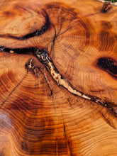 Load image into Gallery viewer, Yew Cookie/Log slice - 490mm x 490mm (ID: YEW044)
