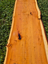 Load image into Gallery viewer, Yew Live edge board - 290mm x 1090mm (ID: YEW050)