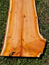 Load image into Gallery viewer, Yew Live edge board - 290mm x 1090mm (ID: YEW050)