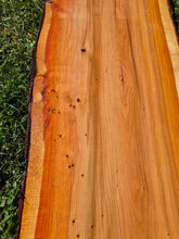 Load image into Gallery viewer, Yew Live edge board - 300mm x 1120mm (ID: YEW042)