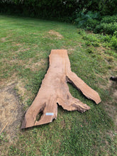 Load image into Gallery viewer, Walnut Live edge board - 2470mm x 1560mm (ID: WAL011)
