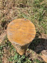 Load image into Gallery viewer, Boxwood Log - 300mm x 100mm (ID: BOX013)
