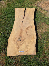 Load image into Gallery viewer, Beech Live edge board - 1680mm x 800mm (ID: BEE018)