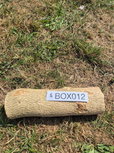 Load image into Gallery viewer, Boxwood Log - 310mm x 90mm (ID: BOX012)