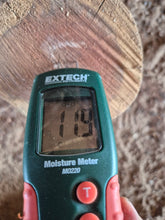 Load image into Gallery viewer, Yew Log - 310mm x 140mm (ID: YEW051)