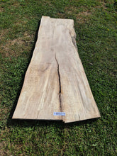 Load image into Gallery viewer, Beech Live edge board - 1860mm x 850mm (ID: BEE019)