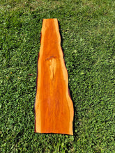 Load image into Gallery viewer, Yew Live edge board - 265mm x 1120mm (ID: YEW040)