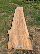 Load image into Gallery viewer, Elm Live edge board - 3800mm x 850mm (ID: ELM22)