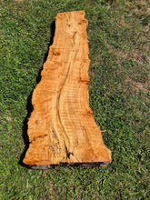 Load image into Gallery viewer, Maple Live edge board - 1500mm x 540mm (ID: MAP011)