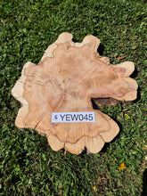Load image into Gallery viewer, Yew Cookie/Log slice - 430mm x 430mm (ID: YEW045)