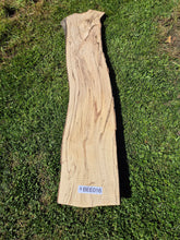 Load image into Gallery viewer, Beech Live edge board - 350mm x 1610mm (ID: BEE016)