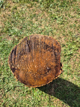 Load image into Gallery viewer, Boxwood Log - 470mm x 140mm (ID: BOX011)