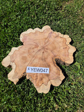 Load image into Gallery viewer, Yew Cookie/Log slice - 440mm x 440mm (ID: YEW047)