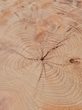 Load image into Gallery viewer, Yew Cookie/Log slice - 430mm x 430mm (ID: YEW043)