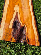 Load image into Gallery viewer, Yew Live edge board - 300mm x 1120mm (ID: YEW042)