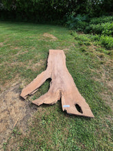Load image into Gallery viewer, Walnut Live edge board - 2470mm x 1560mm (ID: WAL011)