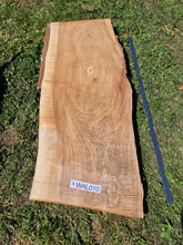 Load image into Gallery viewer, Walnut Live edge board - 470mm x 1070mm (ID: WAL010)