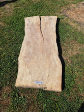 Load image into Gallery viewer, Beech Live edge board - 1680mm x 800mm (ID: BEE018)