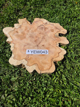 Load image into Gallery viewer, Yew Cookie/Log slice - 430mm x 430mm (ID: YEW043)