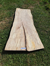 Load image into Gallery viewer, Beech Live edge board - 1870mm x 880mm (ID: BEE020)
