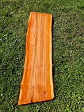 Load image into Gallery viewer, Yew Live edge board - 300mm x 1120mm (ID: YEW042)