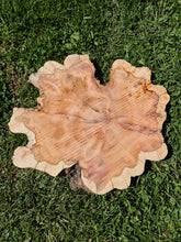 Load image into Gallery viewer, Yew Cookie/Log slice - 450mm x 450mm (ID: YEW046)