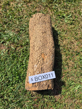Load image into Gallery viewer, Boxwood Log - 470mm x 140mm (ID: BOX011)
