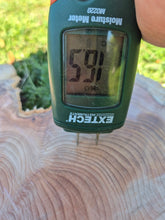 Load image into Gallery viewer, Yew Cookie/Log slice - 430mm x 430mm (ID: YEW045)