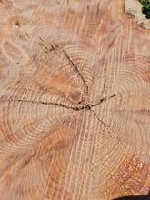 Load image into Gallery viewer, Yew Cookie/Log slice - 430mm x 430mm (ID: YEW043)