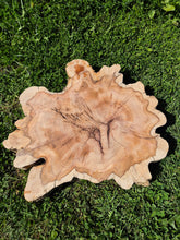 Load image into Gallery viewer, Yew Cookie/Log slice - 490mm x 490mm (ID: YEW044)