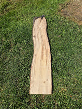 Load image into Gallery viewer, Beech Live edge board - 300mm x 1600mm (ID: BEE015)