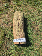 Load image into Gallery viewer, Boxwood Log - 470mm x 140mm (ID: BOX011)