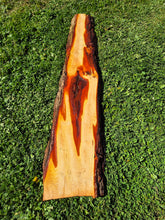 Load image into Gallery viewer, Yew Live edge board - 265mm x 1120mm (ID: YEW040)